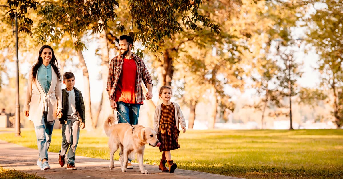 Abogados de familia Madrid